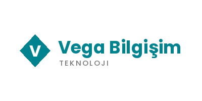 Vega Bilgişim logosu